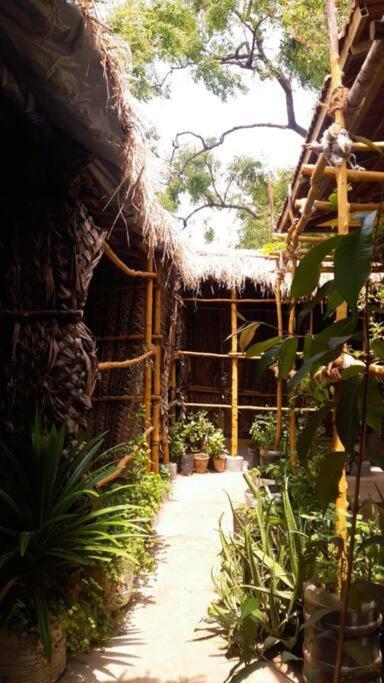 The Vintage House Villa ไมซอร์ ภายนอก รูปภาพ