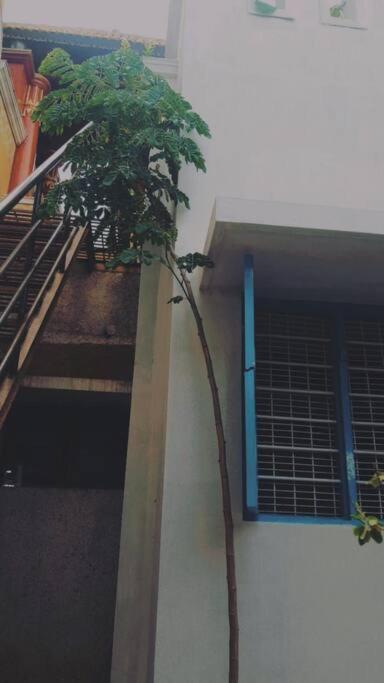 The Vintage House Villa ไมซอร์ ภายนอก รูปภาพ